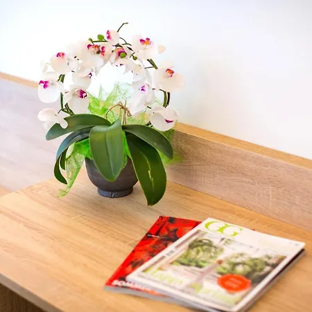 Hotel-restaurant Lampenhaeusl Hotell 3*